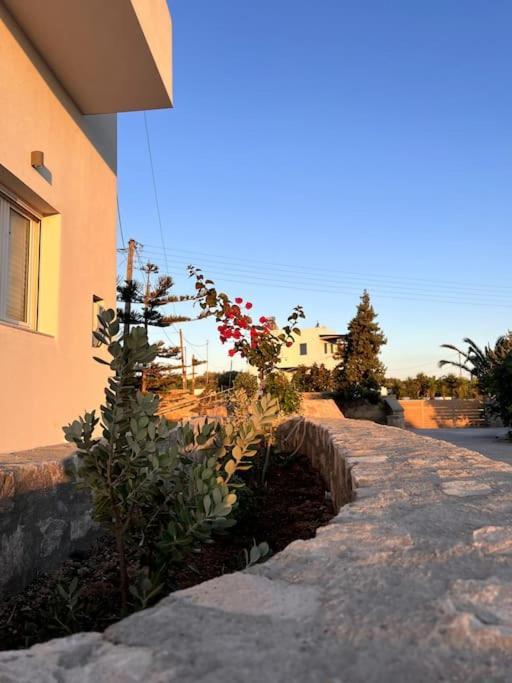 Theasis Apartments Adamantas  Exteriér fotografie